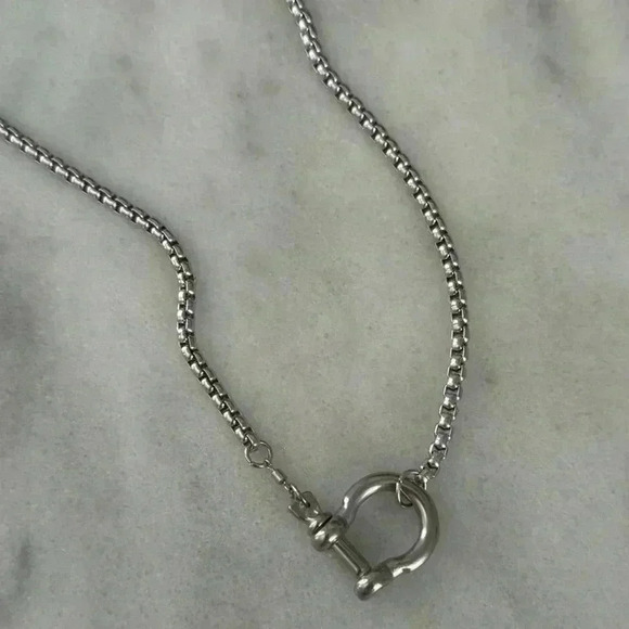 COPY - COPY - Silver Chunky Horse Bit Chain Necklace
Brand New - Picture 5 of 5